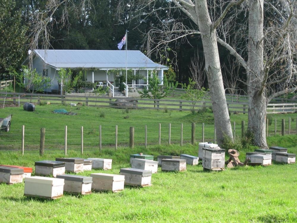 Miranda Orchard Cottage